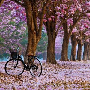 Meet your Posher, Savannah